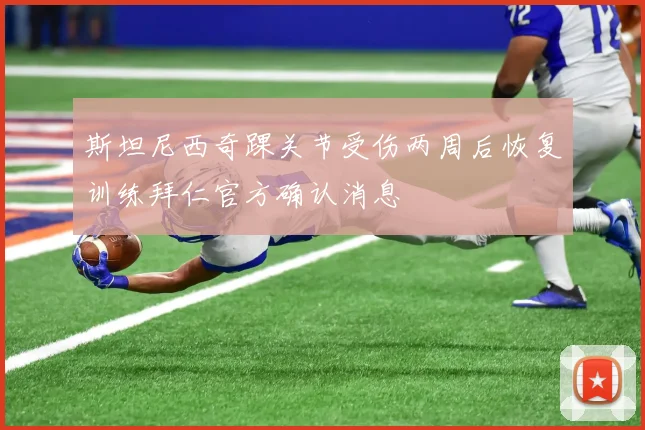 斯坦尼西奇踝关节受伤两周后恢复训练拜仁官方确认消息