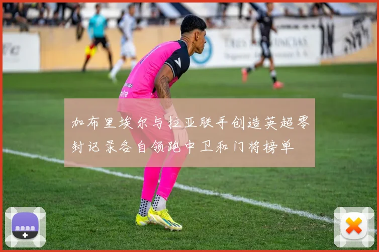 加布里埃尔与拉亚联手创造英超零封记录各自领跑中卫和门将榜单