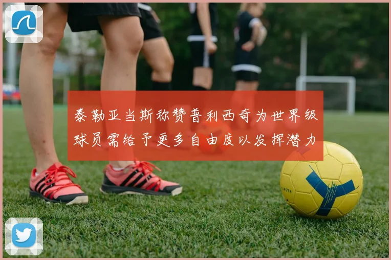 泰勒亚当斯称赞普利西奇为世界级球员需给予更多自由度以发挥潜力